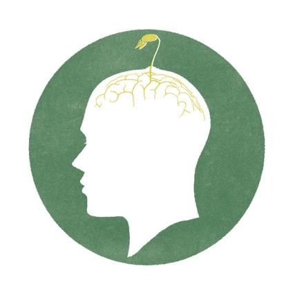 Umweltschutz - Die grüne Revolution des Konsums