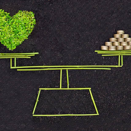 Nachhaltig, aber richtig!