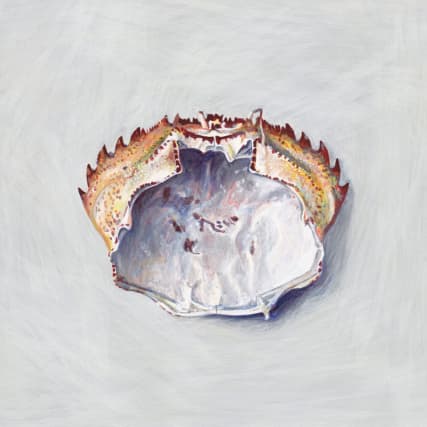 Jahreshoroskop 2016: Krebs