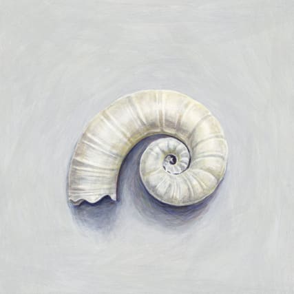 Jahreshoroskop 2016: Widder