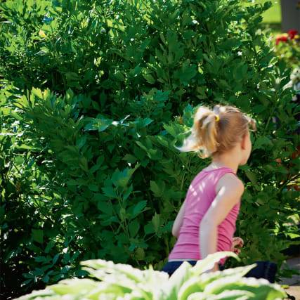 Kinder & Gärten