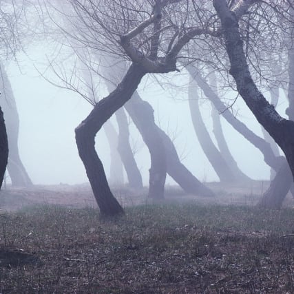Wie ist es eigentlich, einen schizophrenen Sohn zu haben?