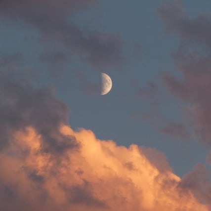 Neumond im Stier: Zeit, die Fülle zu nutzen!