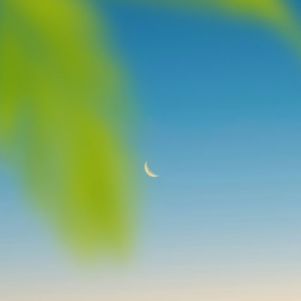 Neumond in den Fischen am 19. März 2026: Tränen dürfen da sein