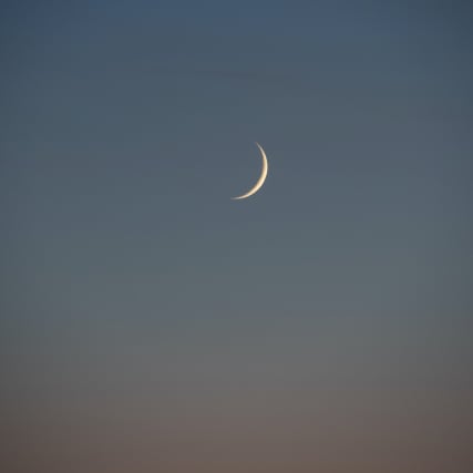 Neumond im Löwen: Time to shine!