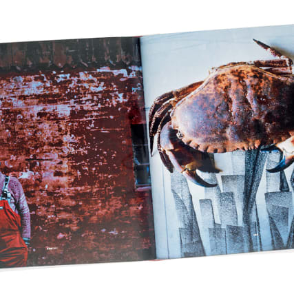 Kochbuchtipp - Das Nomaplusultra