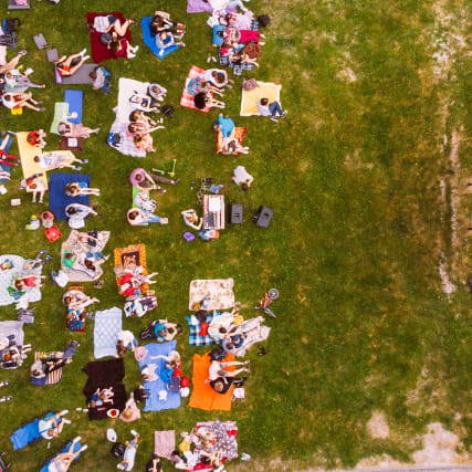 Das erwartet Sie im August