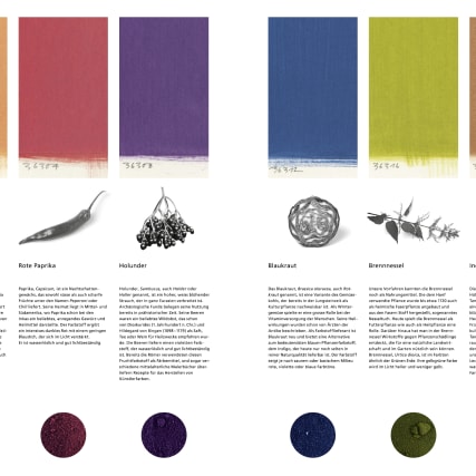 Gewerbemuseum Winterthur: Color my life