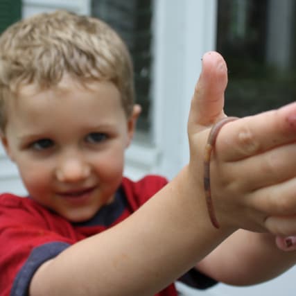 Plüss' Punkte - Unnützes Wissen