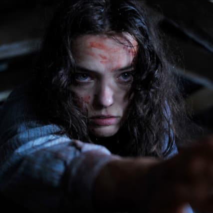 Sennentuntschi im Kino