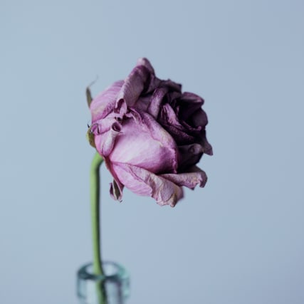 Mein Leben mit dem Tod: Gedanken und Erlebnisse der annabelle-Redaktion
