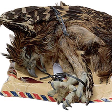 Taryn Simon - Geheimnisträger