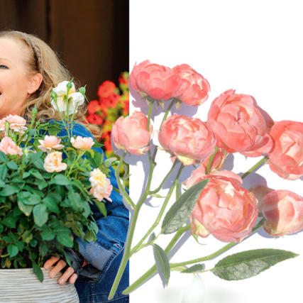 Garten: Ursula Andress