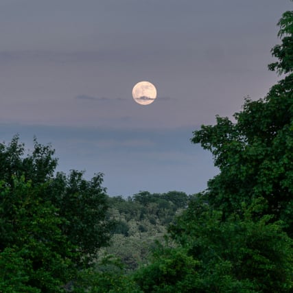Vollmond im Schützen 2025: Ein lauter Ruf nach Bedeutung, Sinn und Richtung