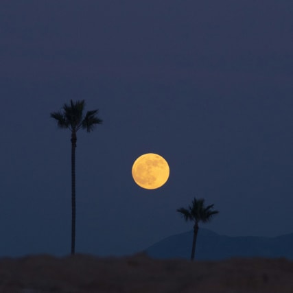 Vollmond im Wassermann: Manchmal muss es eben knallen