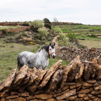 Wandern im spanischen Maestrazgo