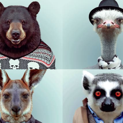 Wo die wilden Kerle wohnen