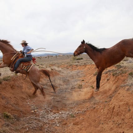 Zia und die wilden Pferde