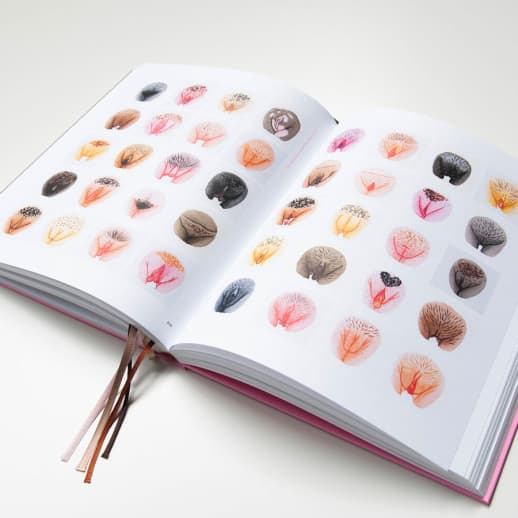Sex sells: Vulva