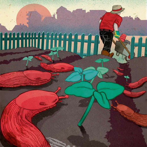 Was blüht mir da? — Der eigene kleine Garten