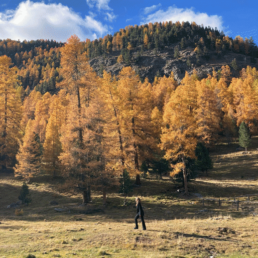 It’s Sweater Weather: die Herbst-Essentials der Redaktion