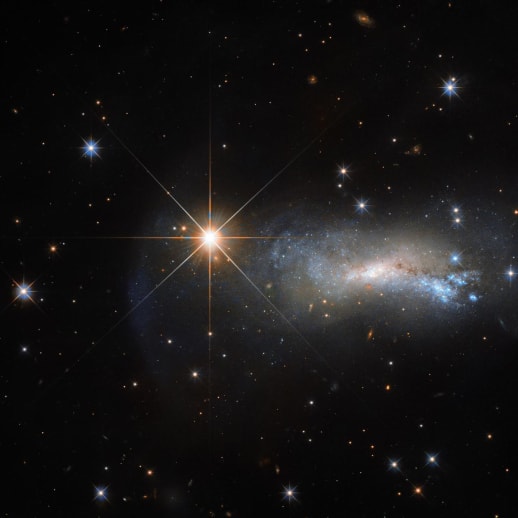 Horoskop vom 19. November