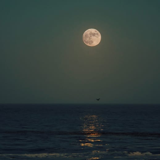 Vollmond im Schützen: Zeit für jede Menge Optimismus – und viele Fragen