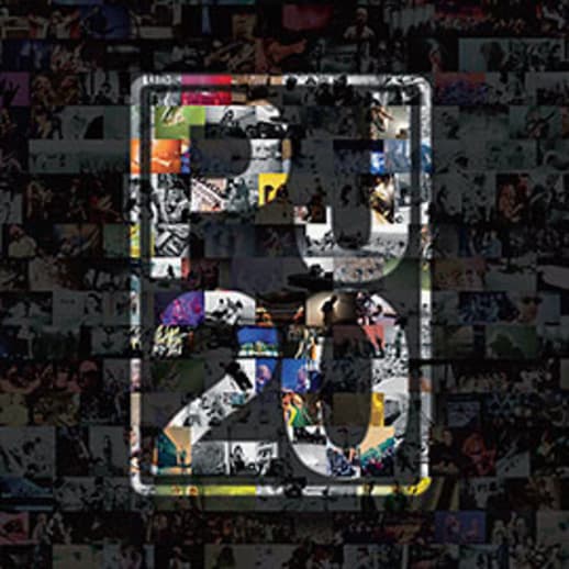 Pearl Jam - Grunge-Fossile