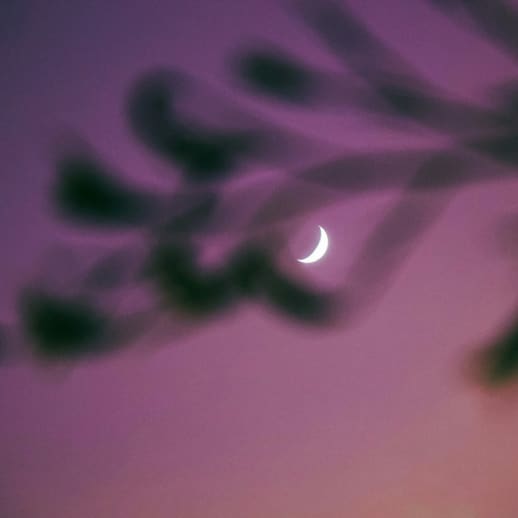 Neumond im Stier am 16. Mai 2026: Zwischen Widerstand und Hingabe