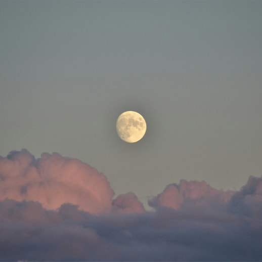 Vollmond im Steinbock: Evolution der Emotionen