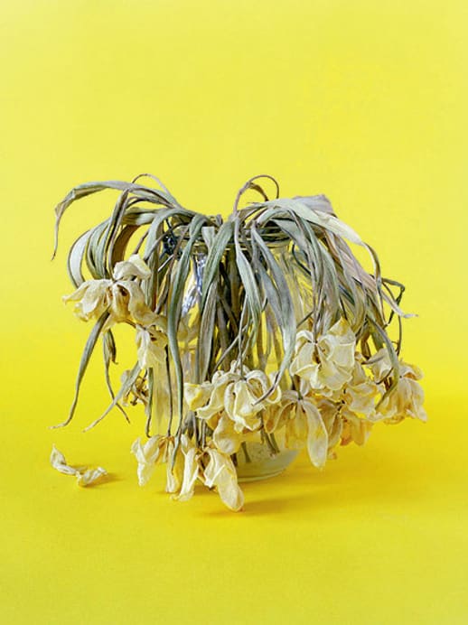 Susanne Kriemann - All die Sachen