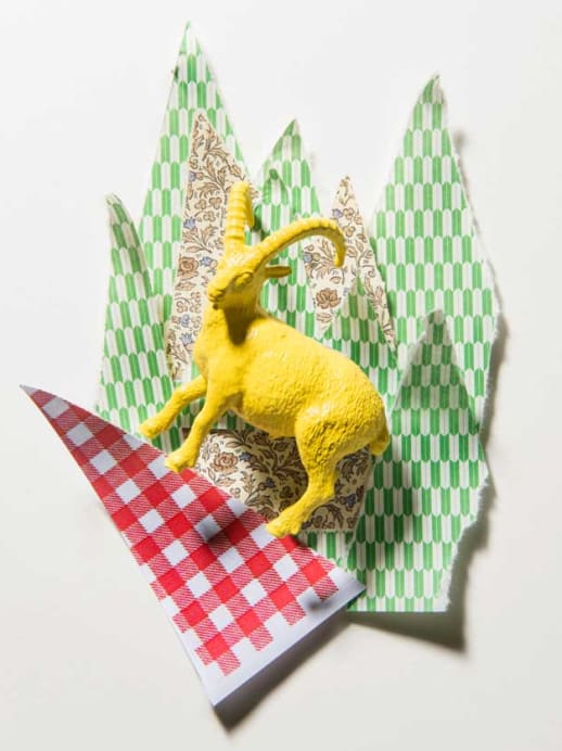 Jahreshoroskop 2015: Steinbock