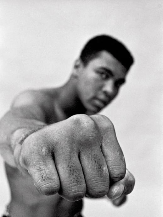 Ali und der Champion: Buch-Tipp