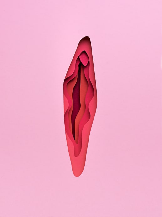 Klitoris-Forscher über weibliche Lust: