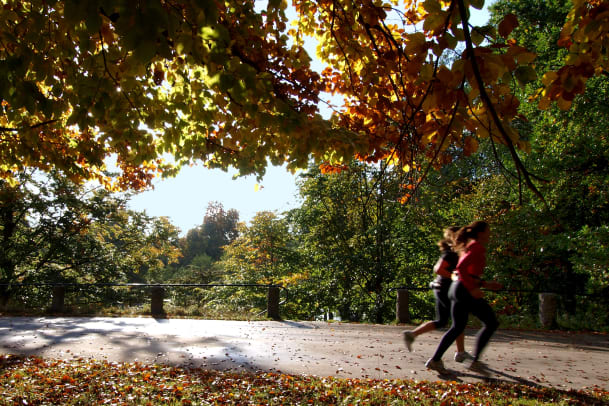 Der Weg ist das Ziel: Jogging-Anleitung von annabelle.eBalance