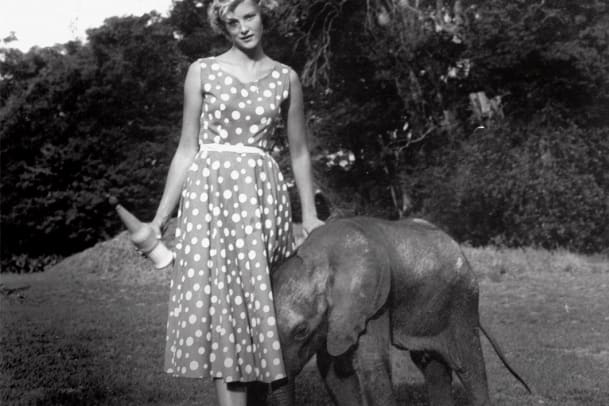 Joan Root - Wildfang in Afrika