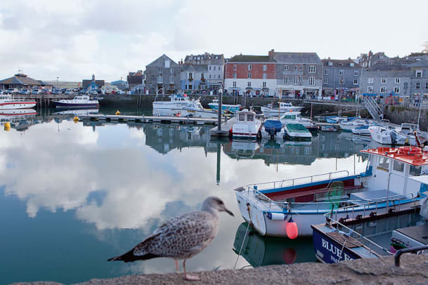 Postkarte aus Cornwall: Englands Garten Eden