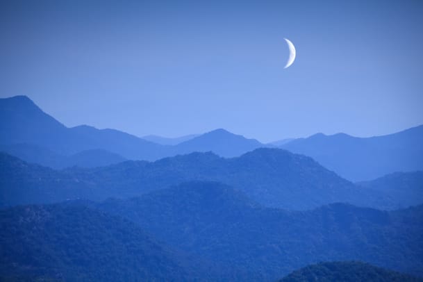 Neumond im Löwen: Noch einmal brüllen, dann loslassen