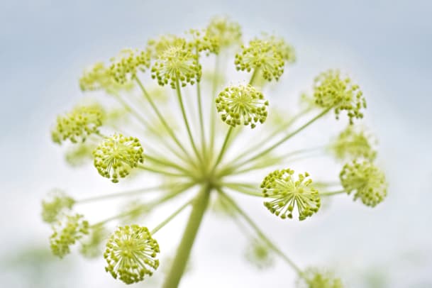 Rasche Feuchtigkeitspflege mit L'Occitane