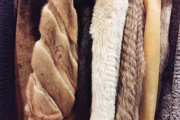Modelagentur Linden Staub setzt No-Fur-Policy durch