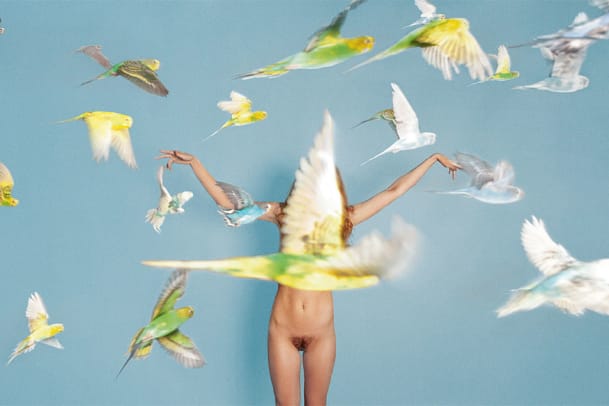 Der neue Bildband von Ryan McGinley: