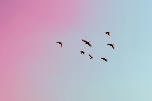 Ein Jahr voller Tempo: Die wichtigsten Astrodaten 2026