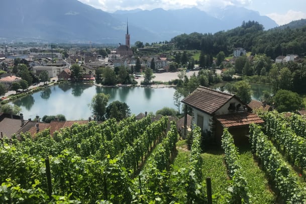Per Zufall nach Buchs