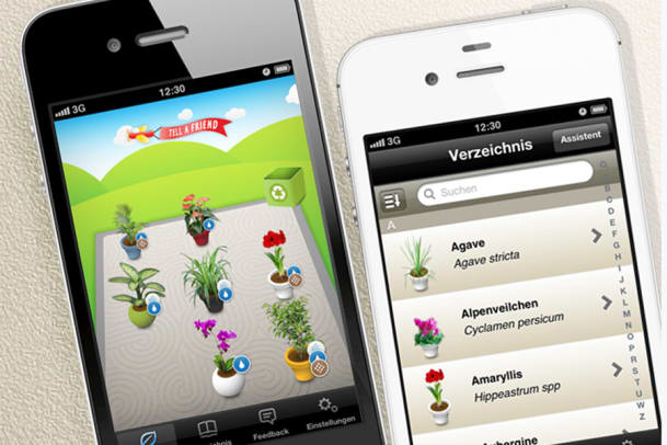 Pflanzen-App my.koubachi hilft bei der Blumen-Pflege