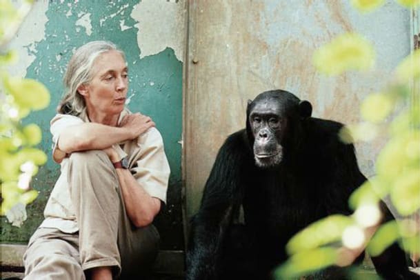 Jane Goodall - Jane's Journey