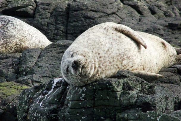 Im Interview mit Pelzspezialistin Anja Essellier