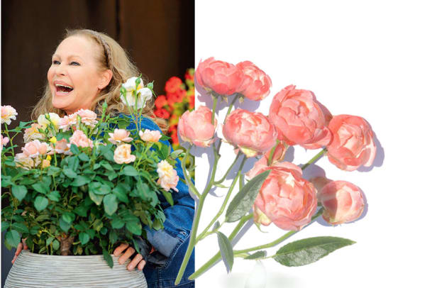 Ursula Andress: Die Garten-Oasen der Stars