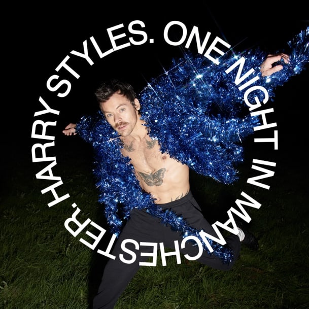 Harry Styles Netflix