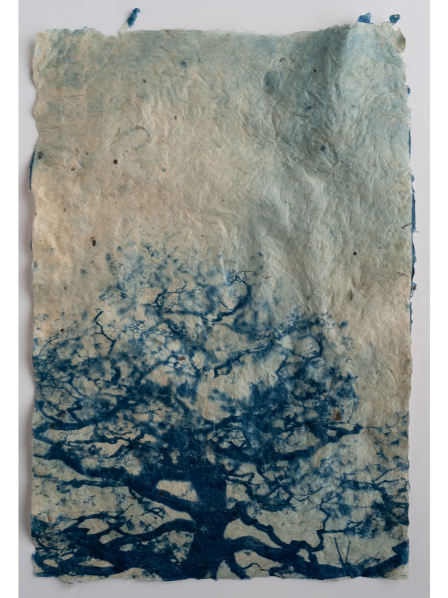 Mika Horie, Matsu, 2024; Galerie: IBASHO