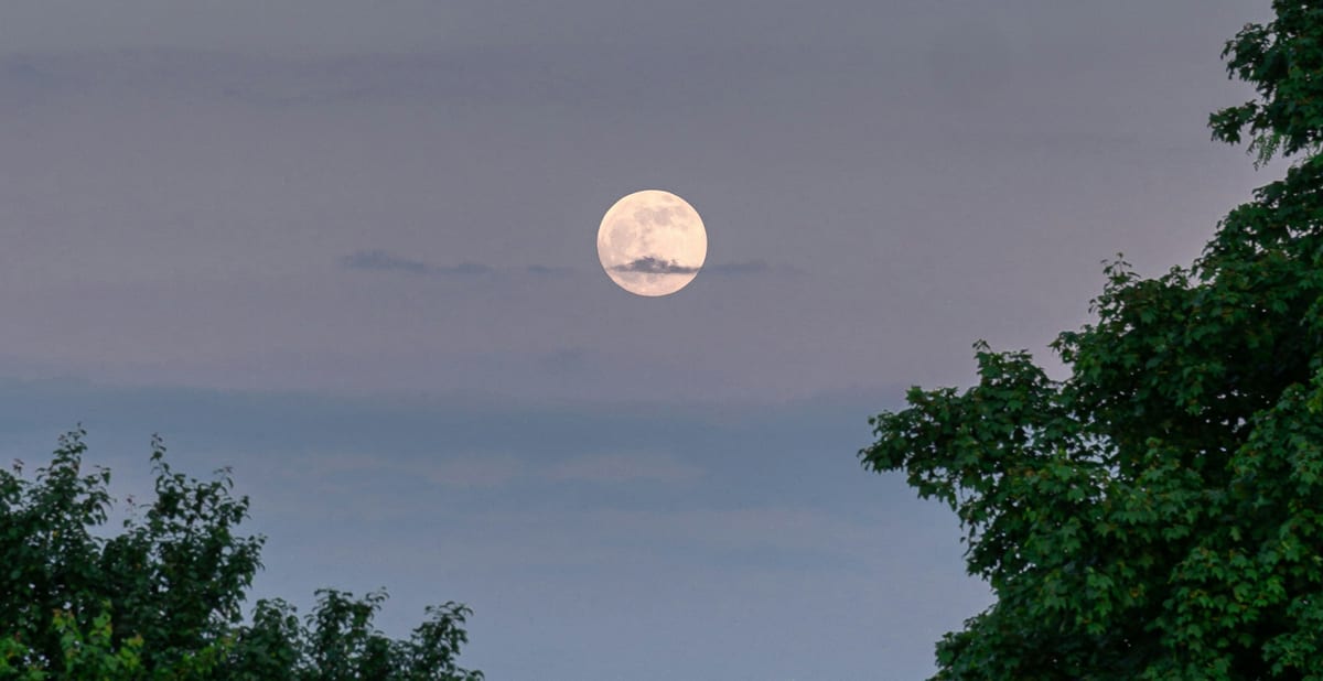 Vollmond im Sch&uuml;tzen 2025: Ein lauter Ruf nach Bedeutung, Sinn und